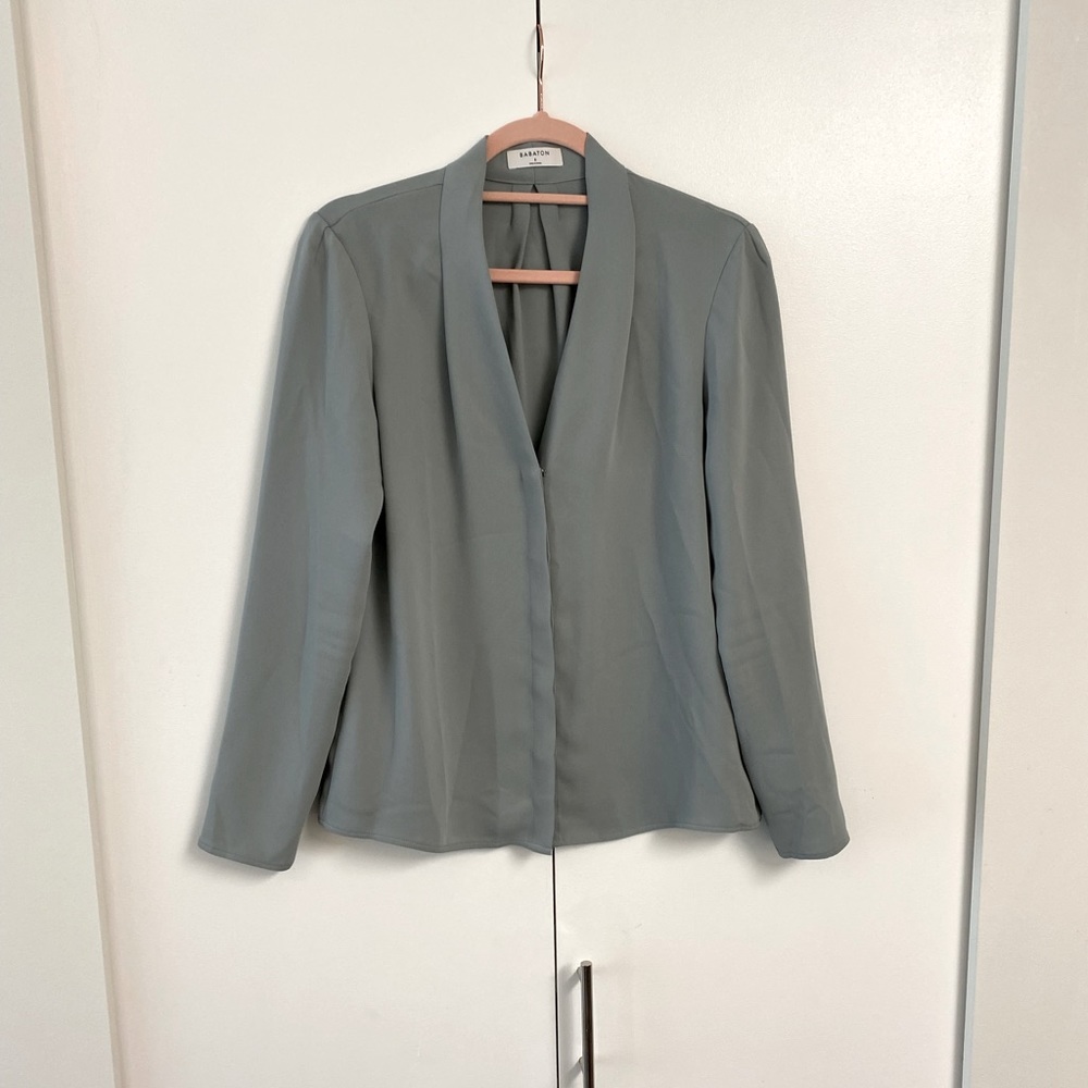 Aritzia Babaton button down blouse